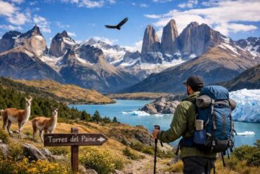 Torres Del Paine Para Principiantes: Guía Completa Para Tu Primer Viaje.