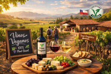 Viñas con Opciones Veganas en Chile: Guía Completa para Amantes del Vino Consciente.